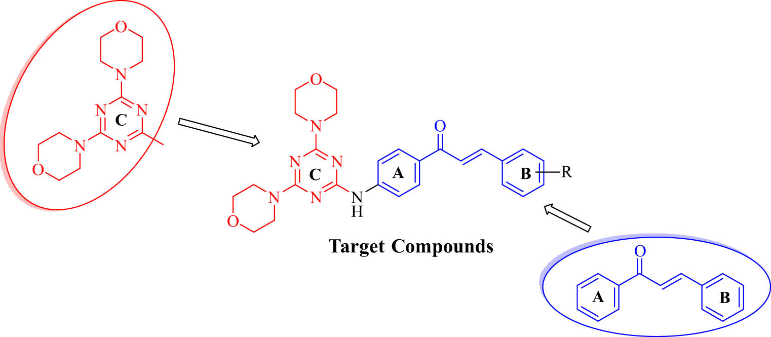 Figure 3 
               Design principle of the target compound.
            