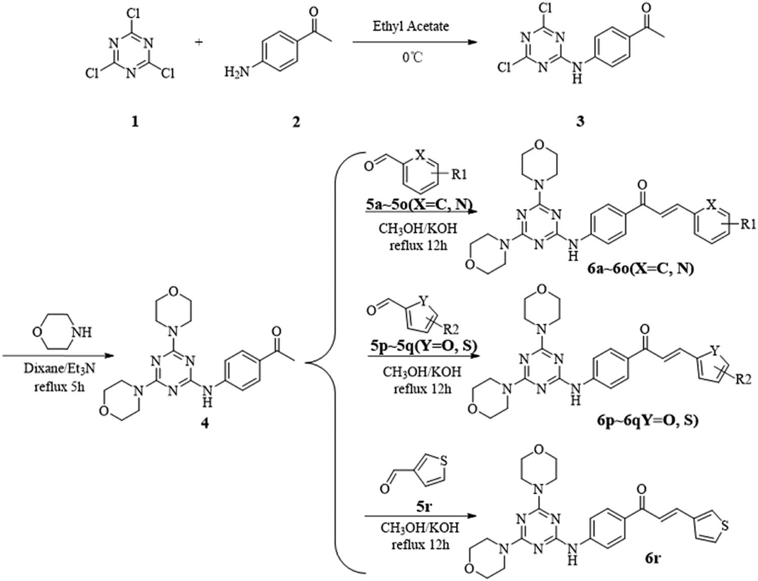 Scheme 1 
                  Preparation of 4,6-dimorpholinyl-1,3,5-triazine derivatives 6a–6r.
               