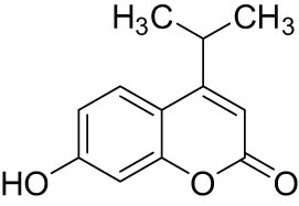 3.2.4 