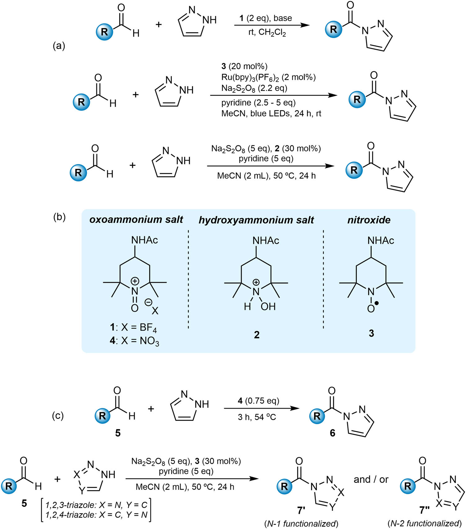 Figure 1 
               (a) Previous approaches to the oxidative amidation of aldehydes with pyrazole to prepare acyl pyrazoles. (b) Oxoammonium salts 1 and 4, and their hydroxylammonium and nitroxide analogs 2, and 3. (c) Methodologies presented here.
            