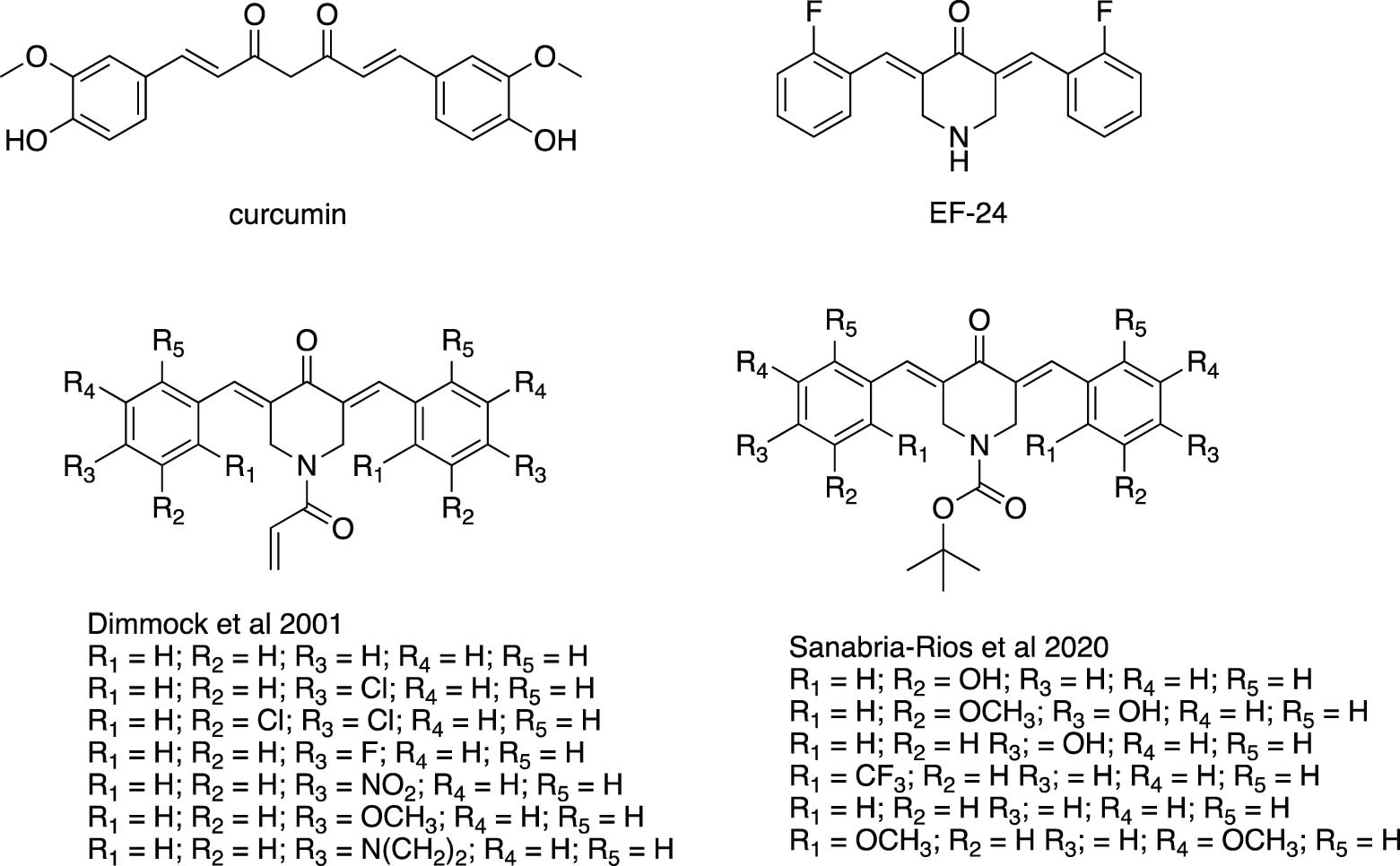 Figure 1 
               Curcumin, EF-24, N-acryloyl-3,5-bis(arylidene)-4-piperidones [12], and N-BOC-3,5-bis(arylidene)-4-piperidones [13].
            