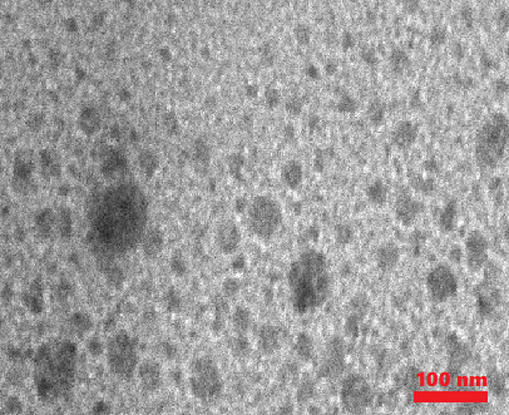 Figure 3 
                  TEM image of synthesized Fe3O4@SP-vanillin-TGA MNCs.
               