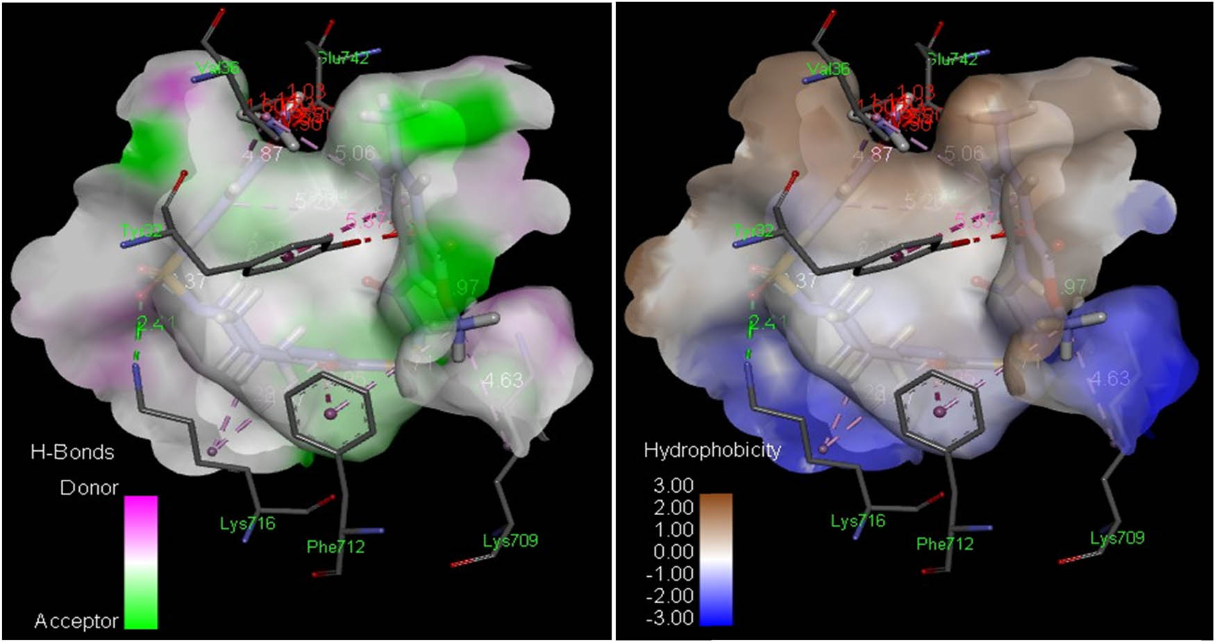 Figure 6 
                     Analyses of H-bonds (left) and hydrophobic interactions (right) of compound 8n. The blue color in the hydrophobic contacts (right) exhibits favorable structural elements (atoms and torsions) contributing to the whole binding energy within the JBU protein binding pocket (PDB ID: 4h9m); the pink one is unfavorable, and the white one is neutral.
                  