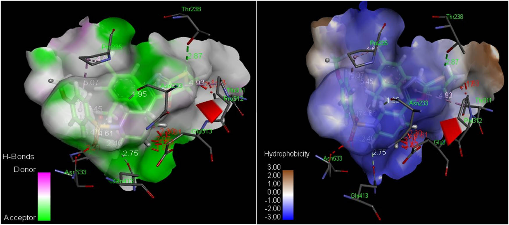 Figure 8 
                     Analyses of H-bonds (left) and hydrophobic interactions (right) of compound 8e. The blue color in the hydrophobic contacts (right) shows favorable structural elements (atoms and torsions) contributing to the overall binding energy within the AChE protein hotspot (PDB ID: 4m0e); the pink one is unfavorable, and the white one is neutral.
                  