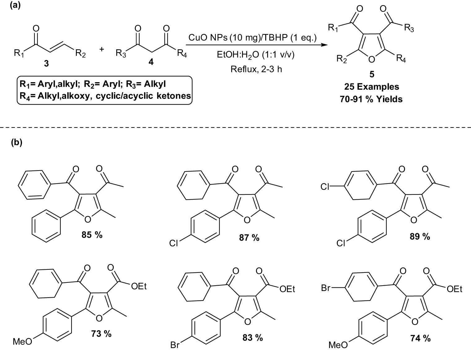 Scheme 2
CuO NPs catalyzed the synthesis of poly-substituted furans. a) Method overview; (b) representative examples.