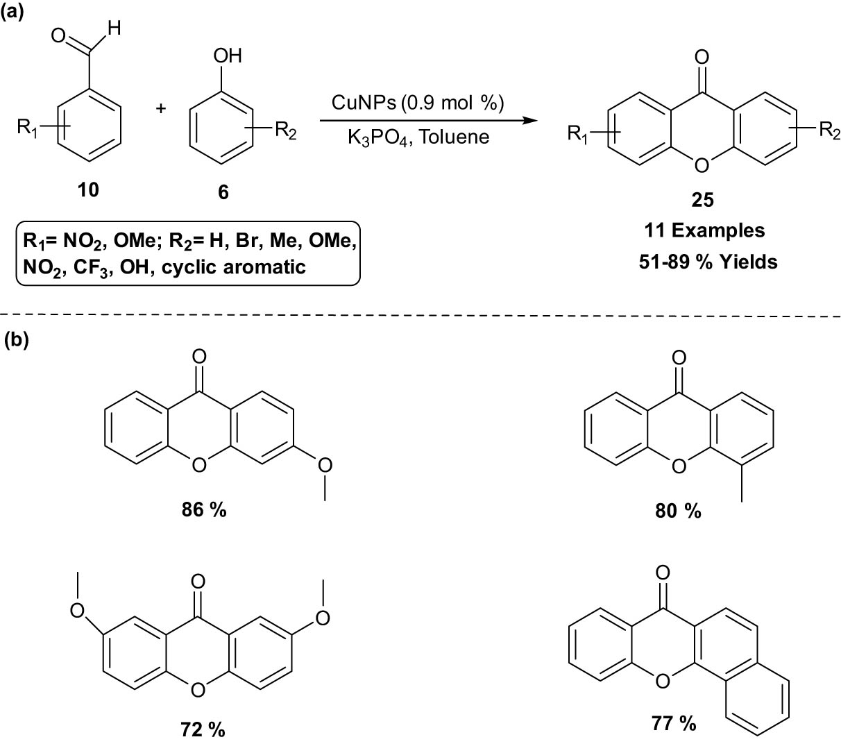 Scheme 12
Synthesis of xanthone skeleton using Cu nanoparticle (CuNP) catalyst. (a) Method overview; (b) representative examples.