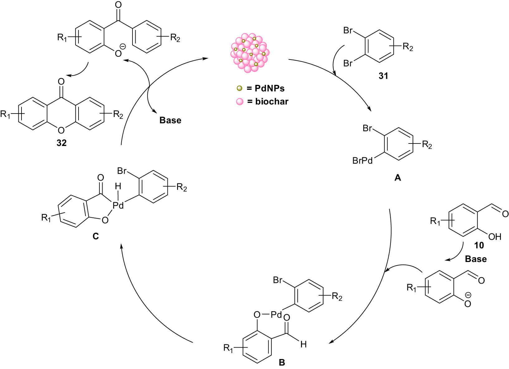 Scheme 17
Proposed catalytic cycle for the PdNP-catalyzed direct synthesis of xanthones.