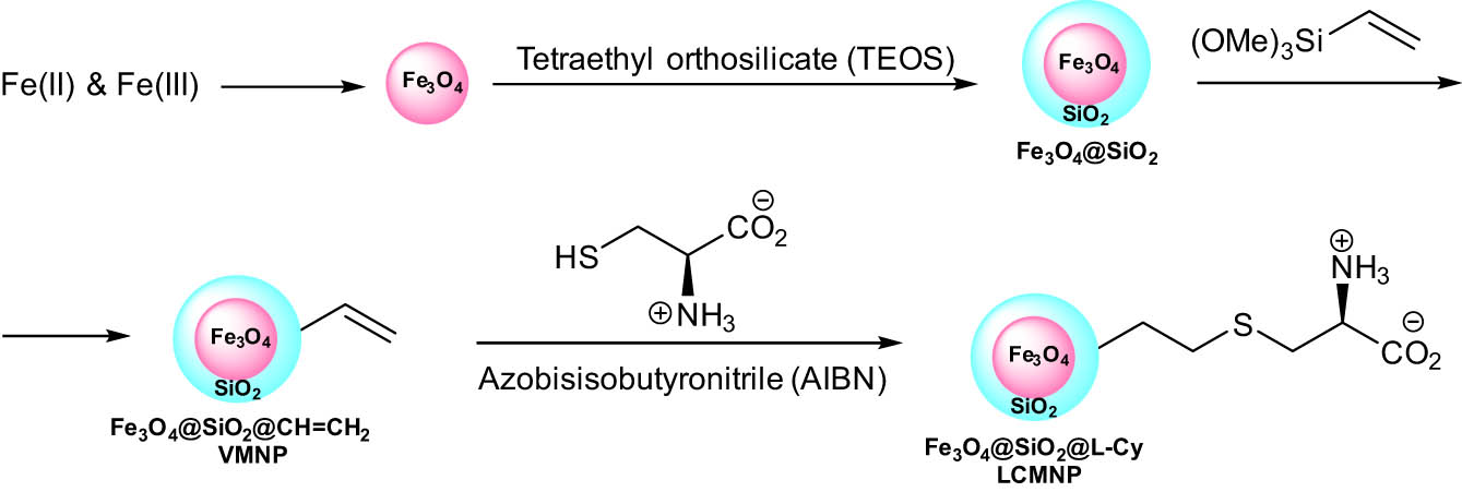 Scheme 19
Synthesis of MNPs supported l-cysteine.