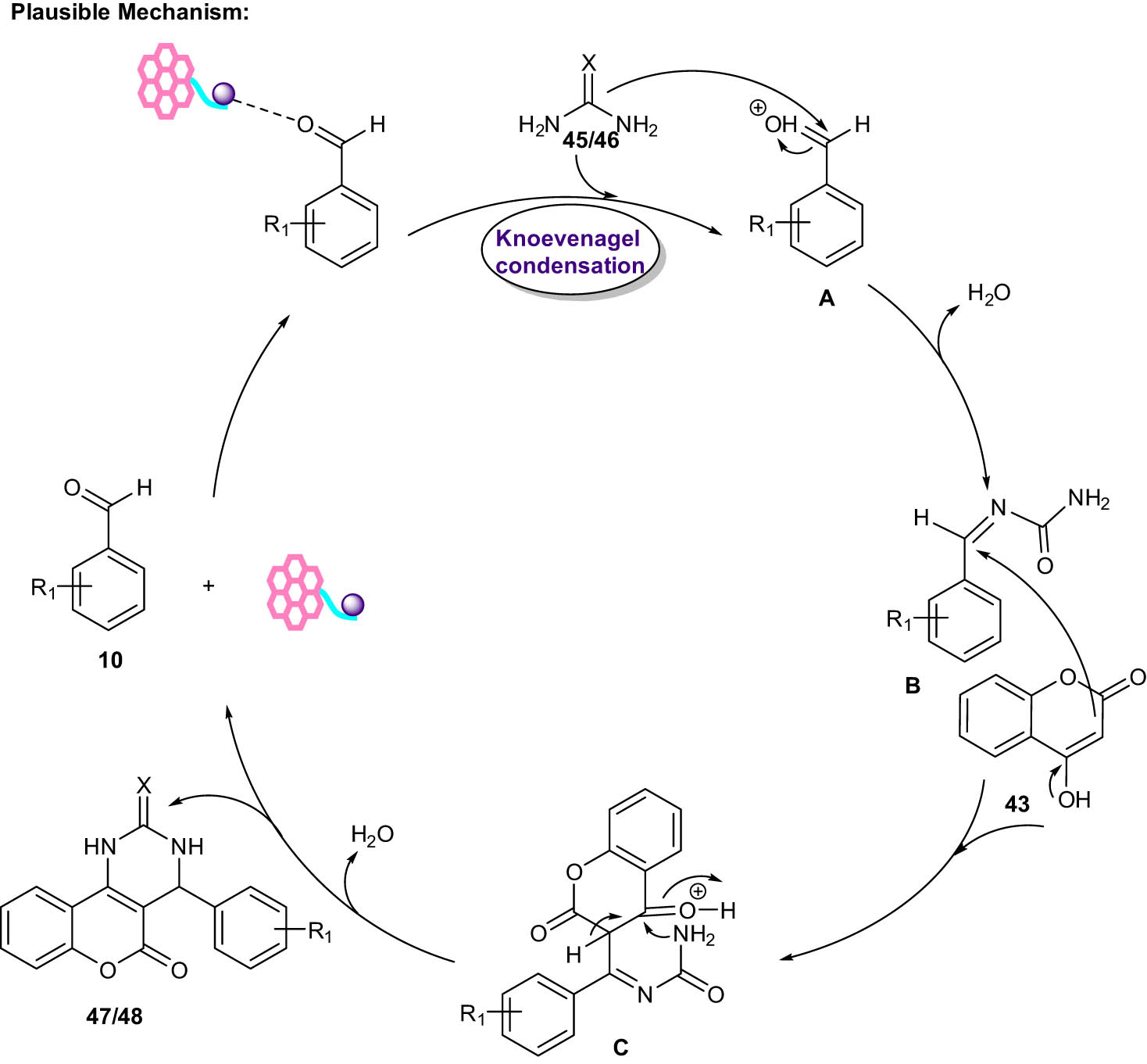Scheme 25
Plausible mechanism for synthesis of benzopyranopyrimidines.