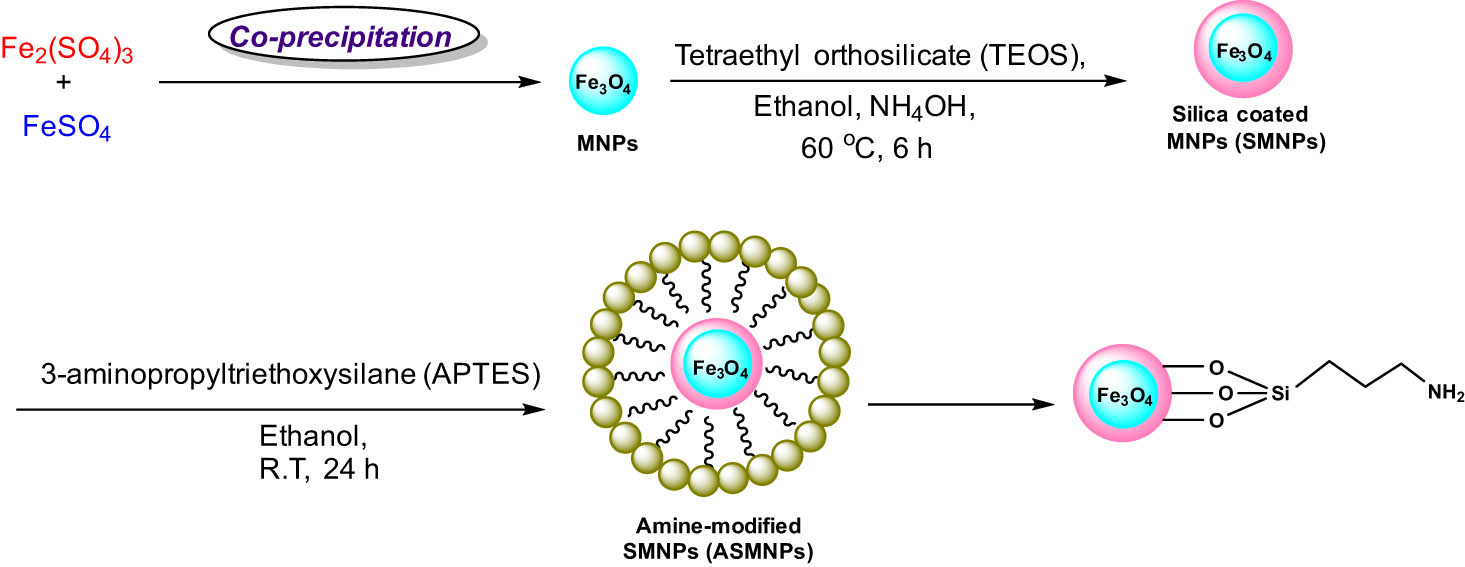 Scheme 27
Synthesis of NH2@SiO2@Fe3O4 MNPs.