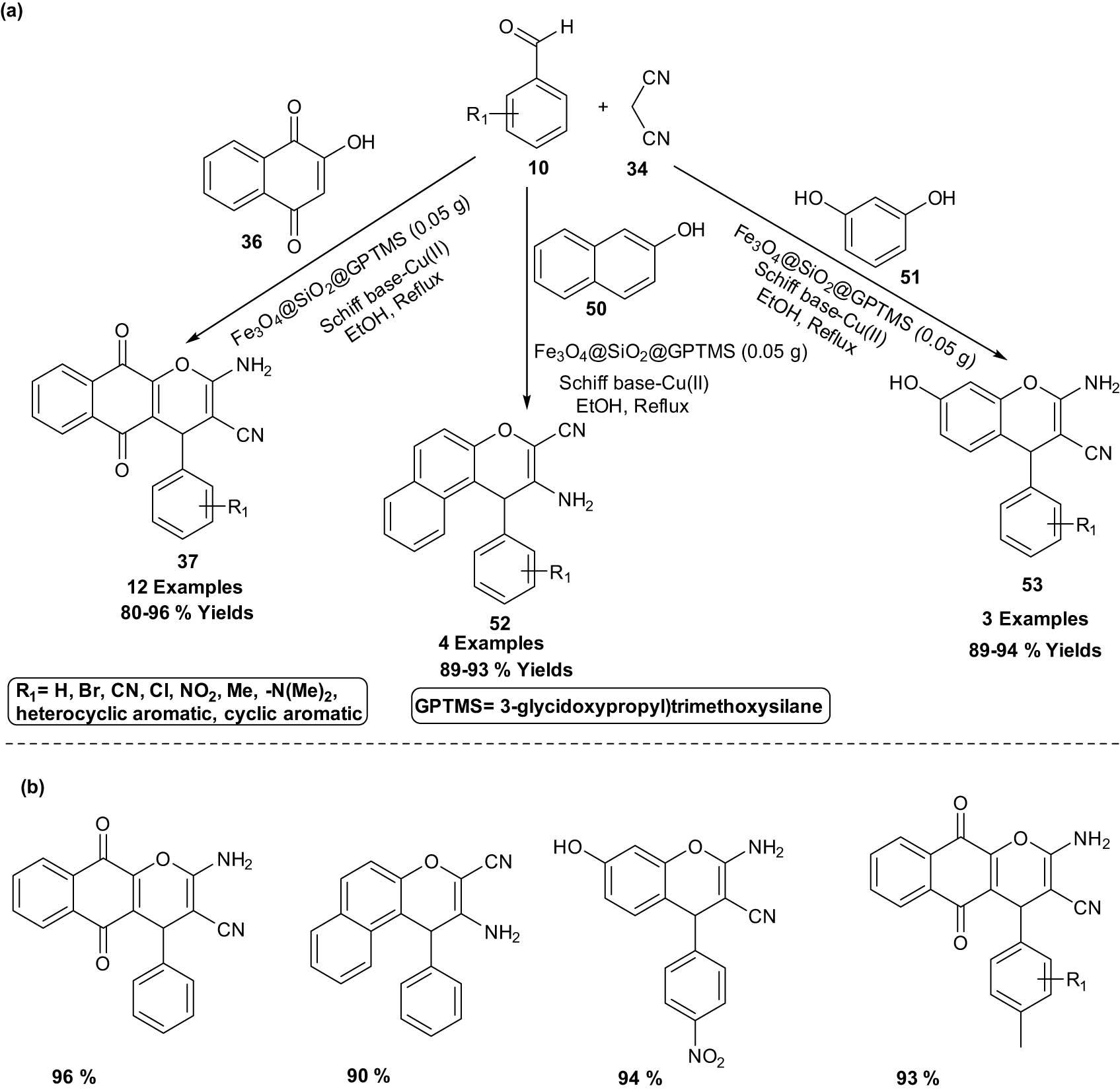 Scheme 29
Fe3O4@SiO2 MNPs catalyzed the synthesis of chromene-annulated heterocycles. (a) Method overview; (b) representative examples.
