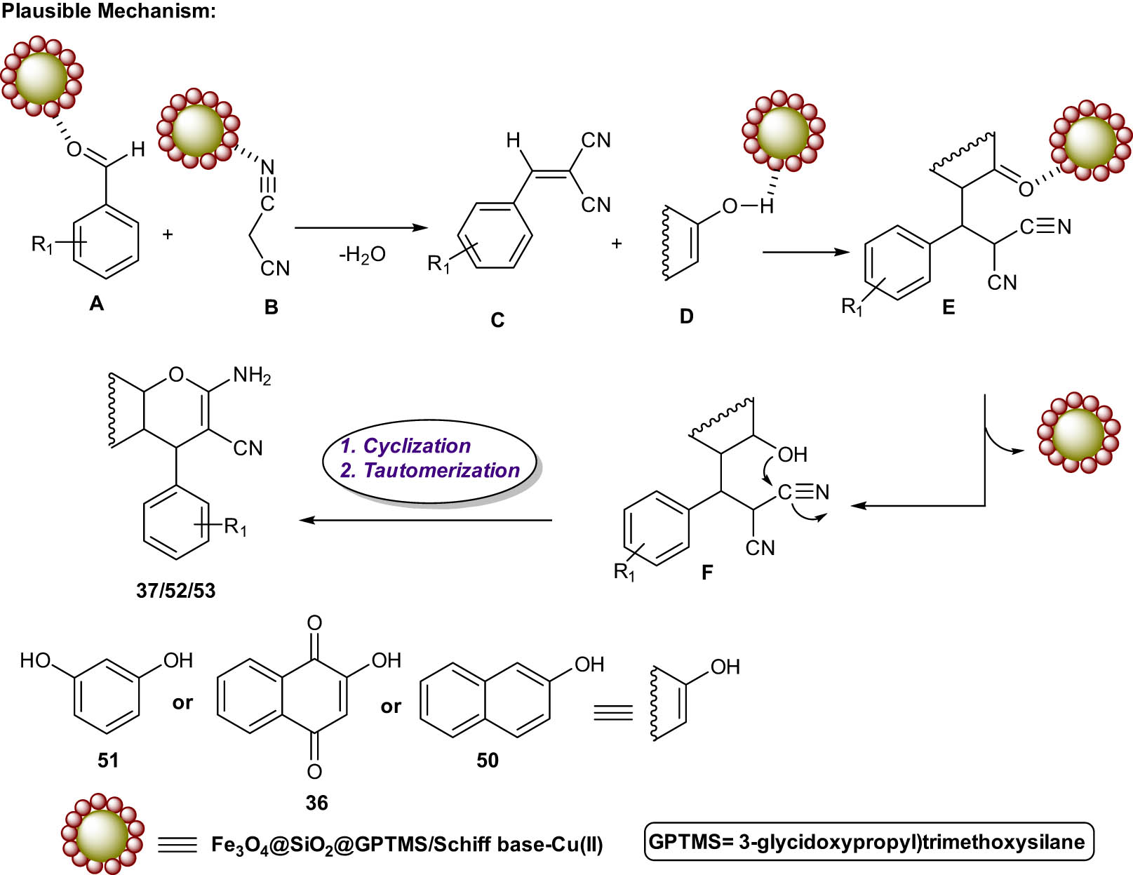Scheme 30
Plausible mechanism for the synthesis of chromene-annulated heterocycles.