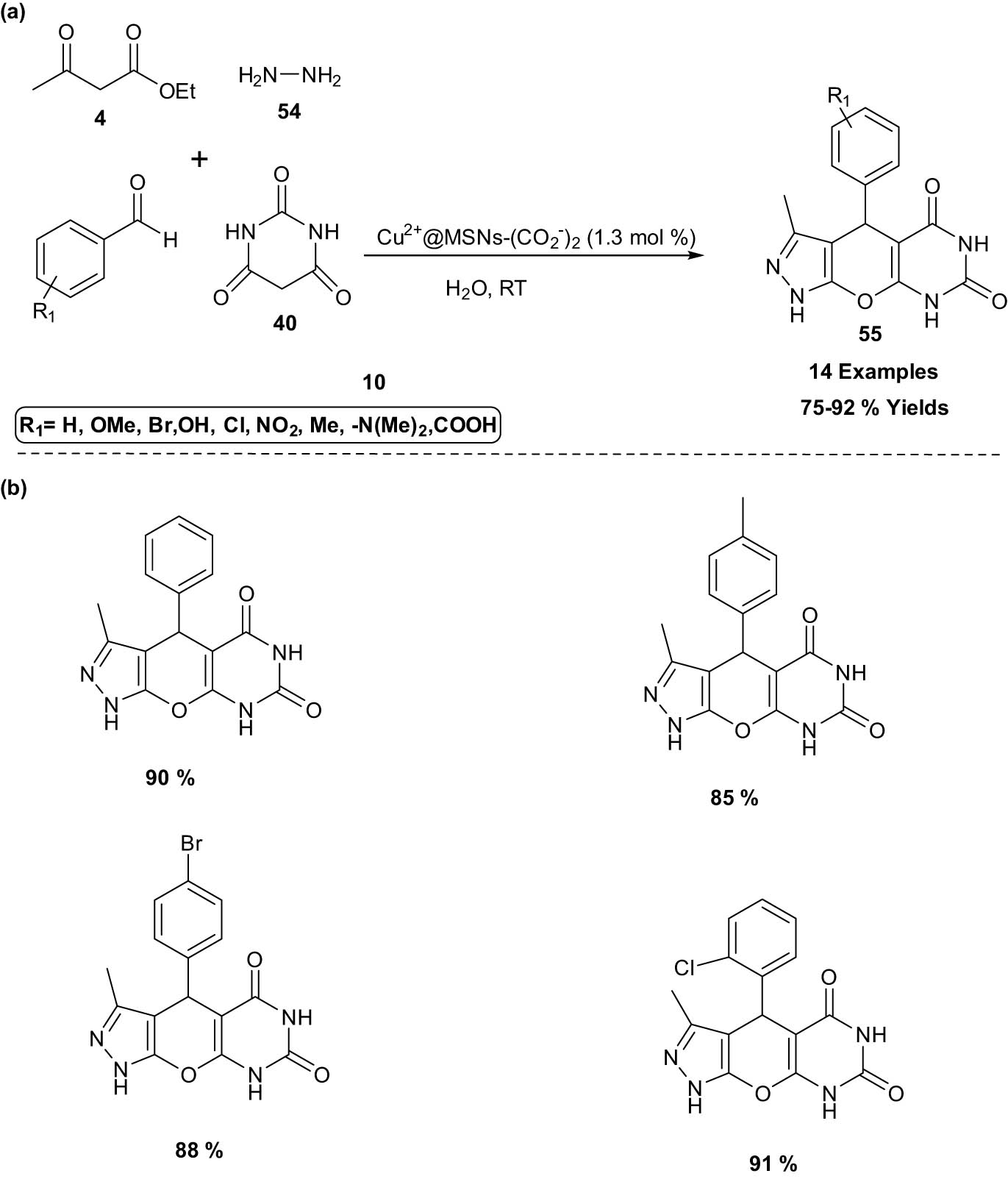 Scheme 31
Cu-immobilized mesoporous silica NP synthesis of pyrazolopyranopyrimidines. (a) Method overview; (b) representative examples.