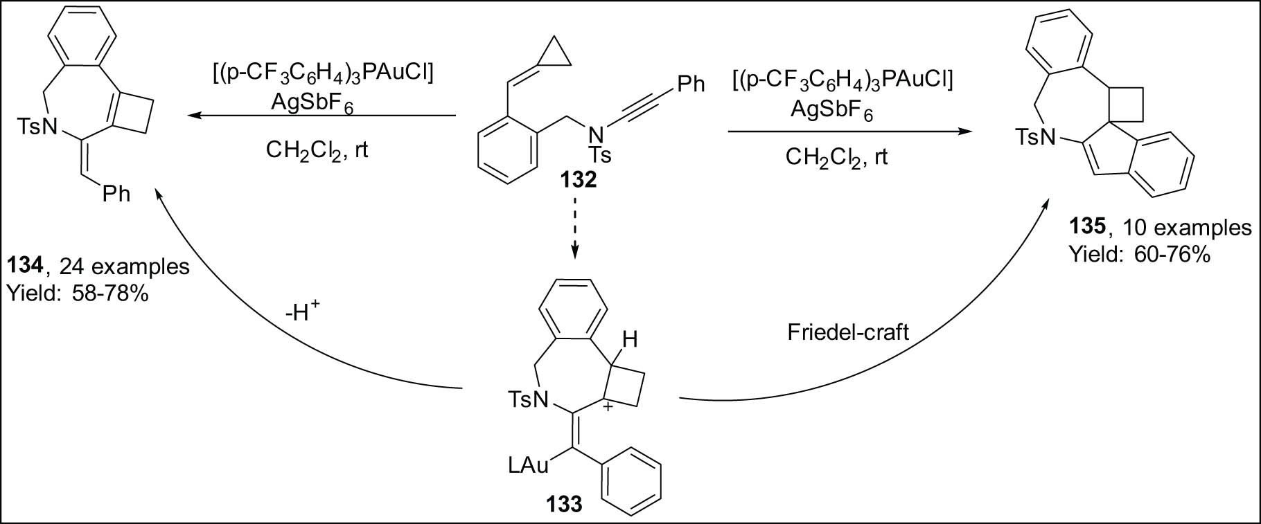 Scheme 38 
                  Cycloisomerizations of ynamide-cyclopropylidene 1,7-enyne.