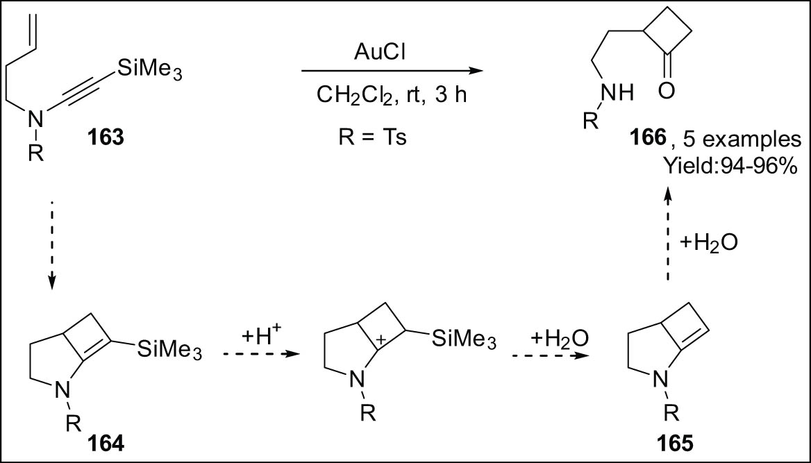 Scheme 46 
                  Cycloisomerization of trimethylsilyl-modified 1,6-ene-ynamide.