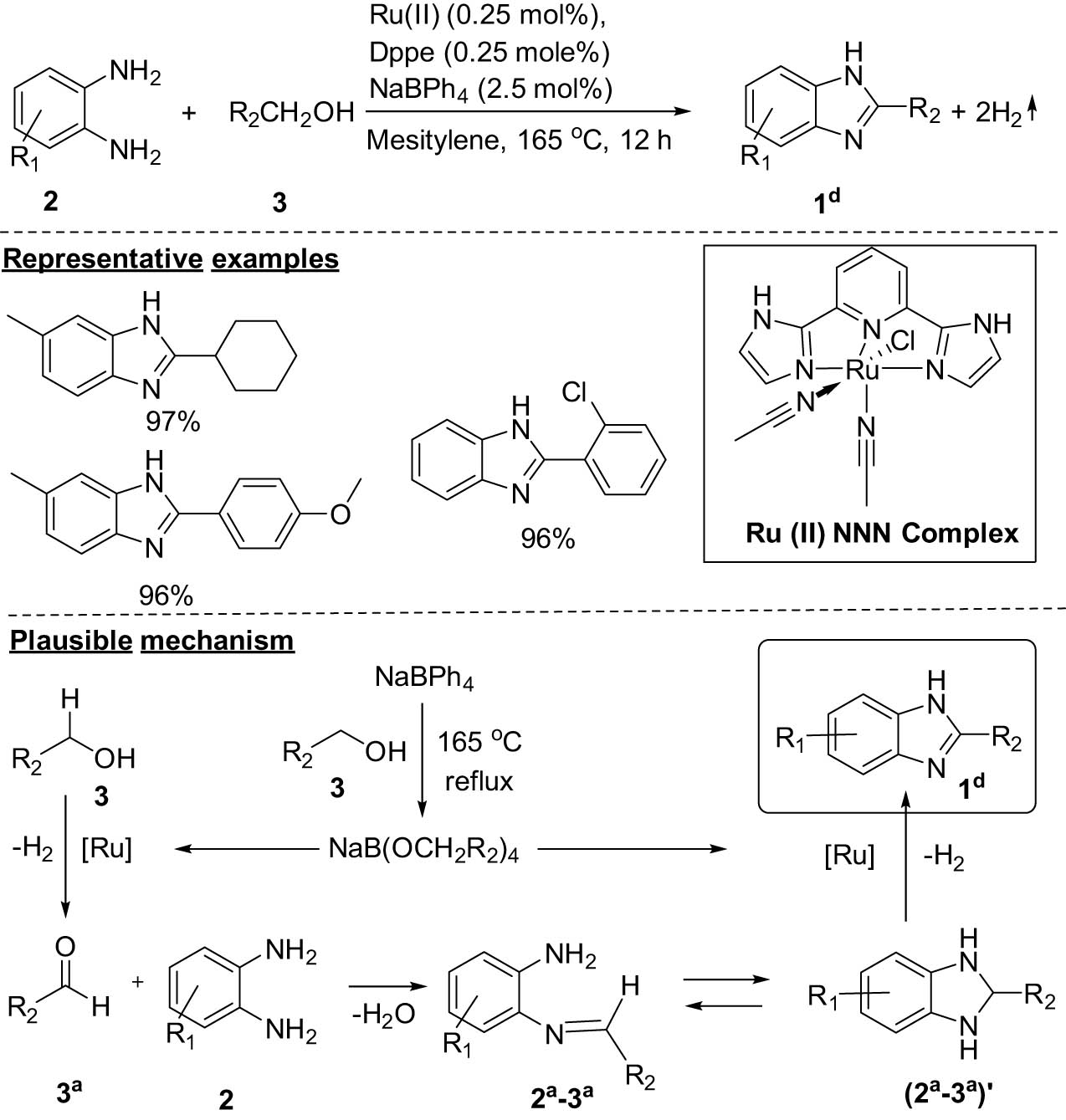 Scheme 5 
                  Synthesis of 1H-benzo[d]imidazole derivatives using the Ru(ii) catalyst.
               