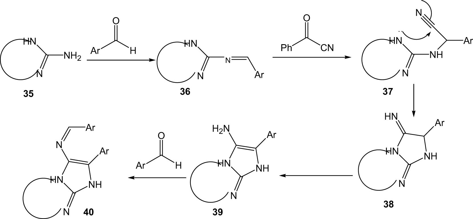 Scheme 10 
               Plausible mechanism for the synthesis of imidazo[1,2-a]imidazole derivatives and imidazo[2,1-c][1,2,4]triazole derivatives under microwave irradiation.
            