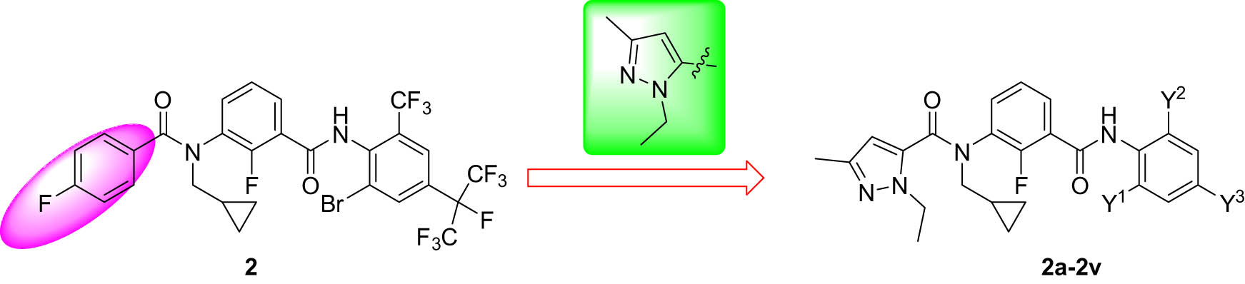 Figure 3 
               Design strategy employed for the target compounds.
            