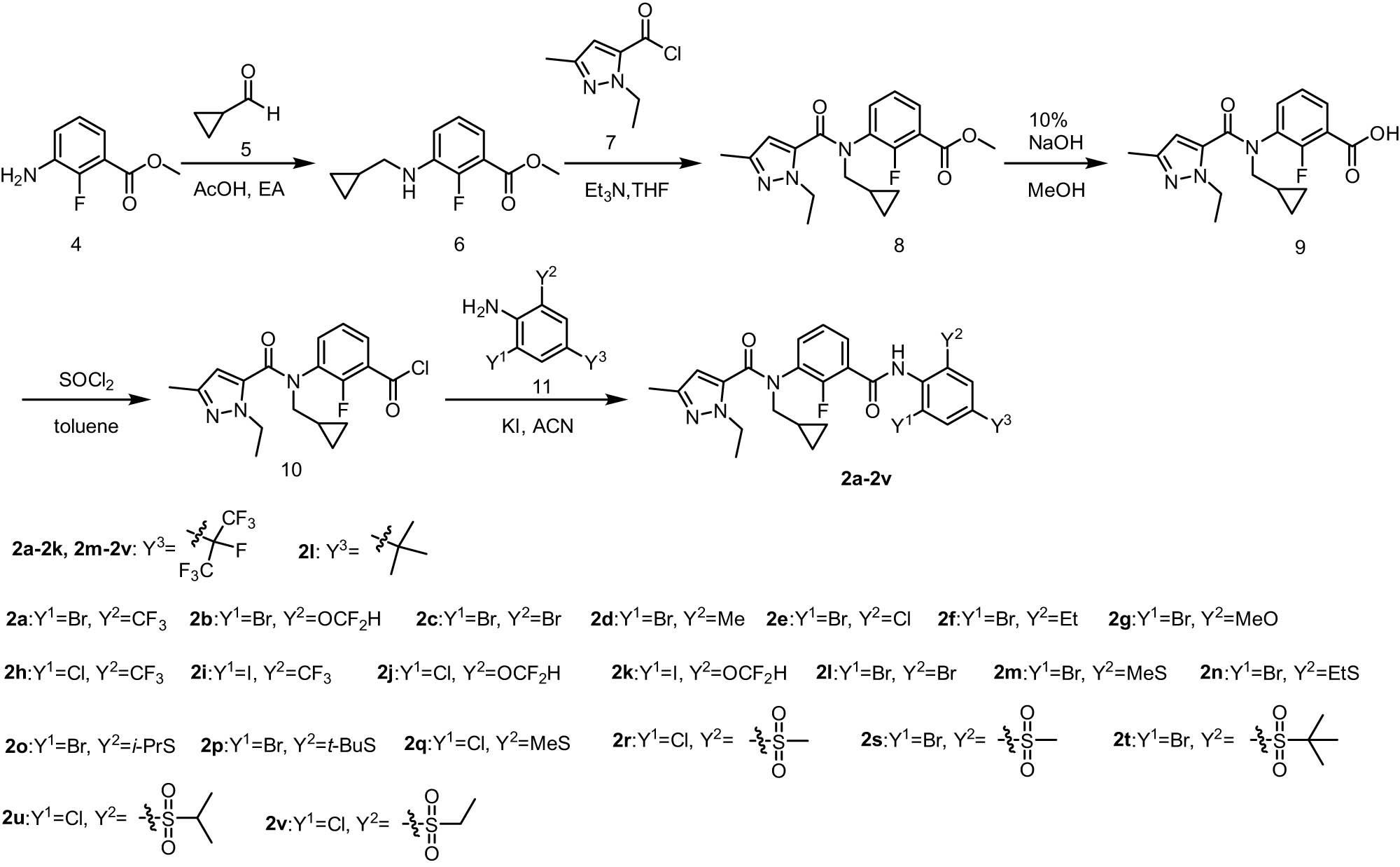 Scheme 1 
                  Synthesis route for the target compounds 2a–2v.
               