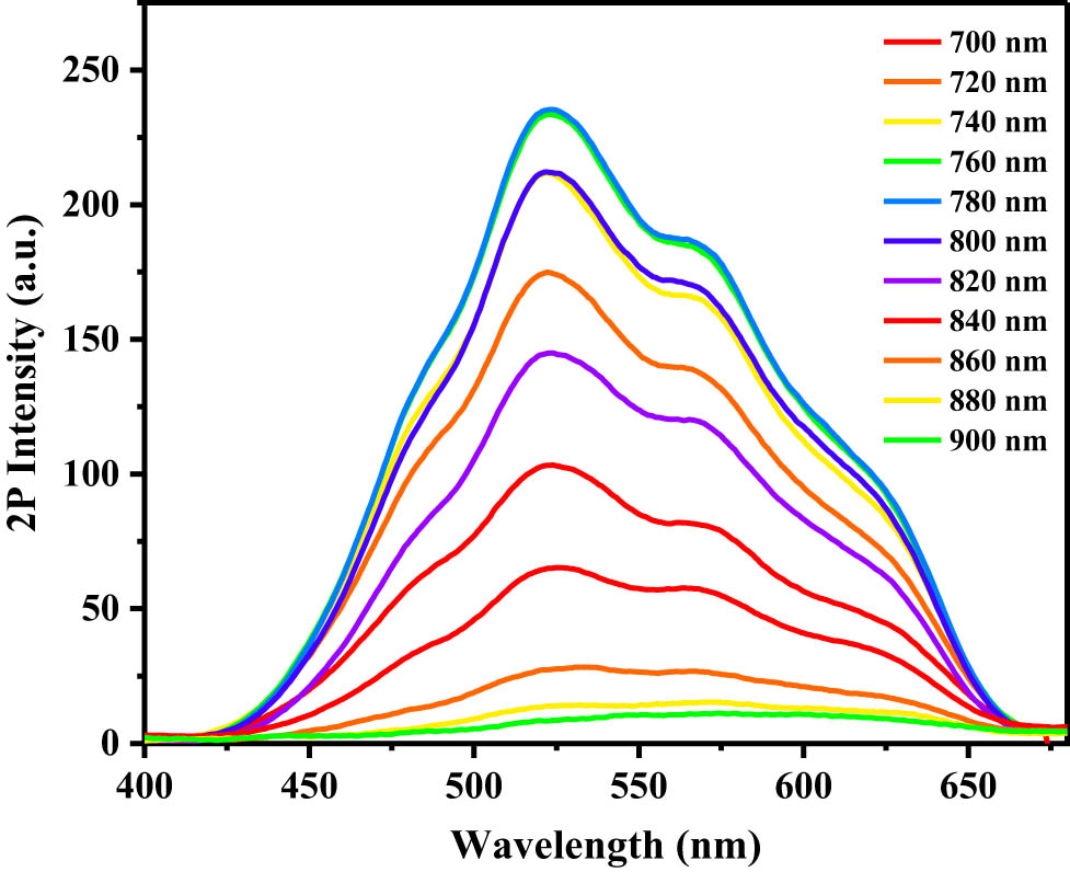 Figure 2
Two-photon excitation fluorescence spectra of aqueous solution of compound (8) at various wavelengths.