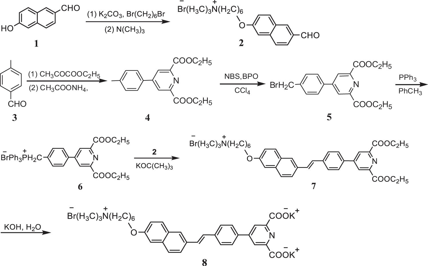 Scheme 1
Synthesis of compound (8).