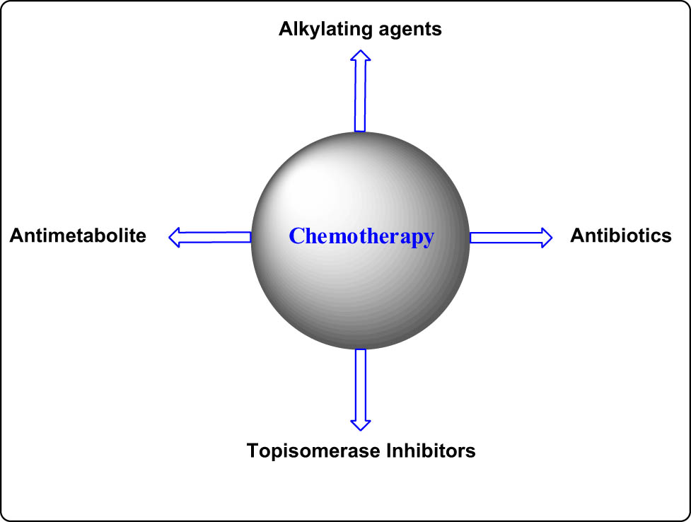 Figure 2 
                  Chemotherapy drugs.
               