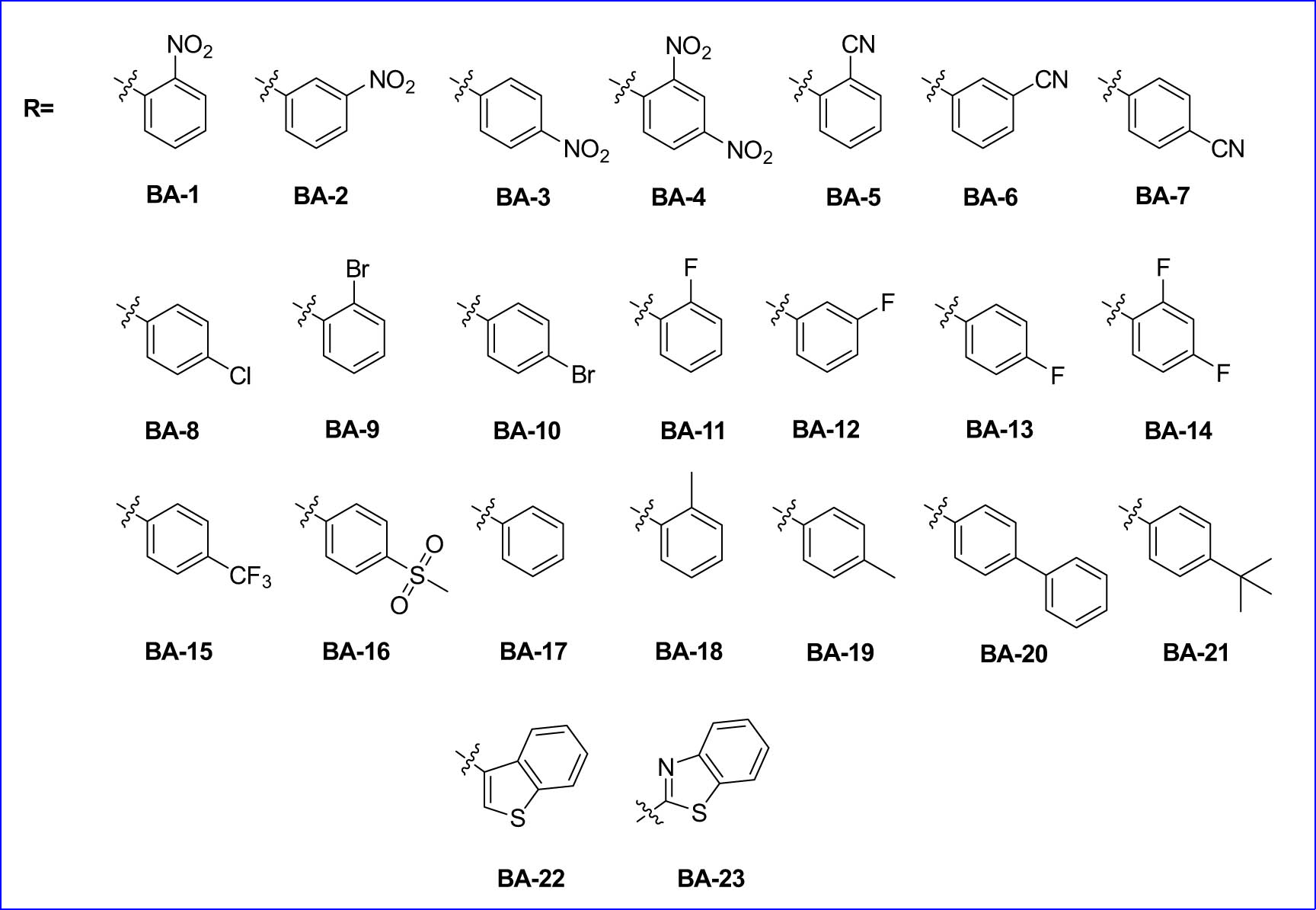 Figure 24 
                     Structures of substrate scope for target compounds.
                  