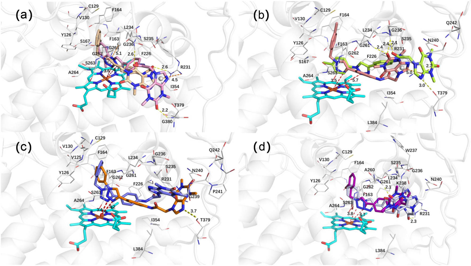 Figure 7 
                  (a) The binding mode of compounds 3a and 3h with IDO1. (b) The binding mode of compounds 3c and 3j with IDO1. (c) The binding mode of compounds 3e and 3l with IDO1. (d) The binding mode of compounds 3f and 3m with IDO1.
               