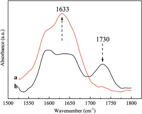 Figure 5: FT-IR spectra of spruce wood after treatment with the seeding solution (a) and spruce wood (b).