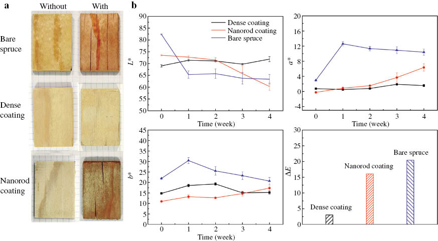 Figure 9: (a) Visualization of the effect of an accelerated weathering test (4 cycles) for an unmodified spruce sample and spruce samples coated with a dense ZnO layer and a nanorod ZnO layer, respectively. Please note that samples shown with and without weathering treatment are different, but similarly prepared for each category. (b) Progression of lightness (L*), redness (a*), yellowness (b*) and total color changes ΔE during the weathering test for an unmodified spruce sample and spruce samples coated with a dense ZnO layer and a nanorod ZnO layer, respectively.