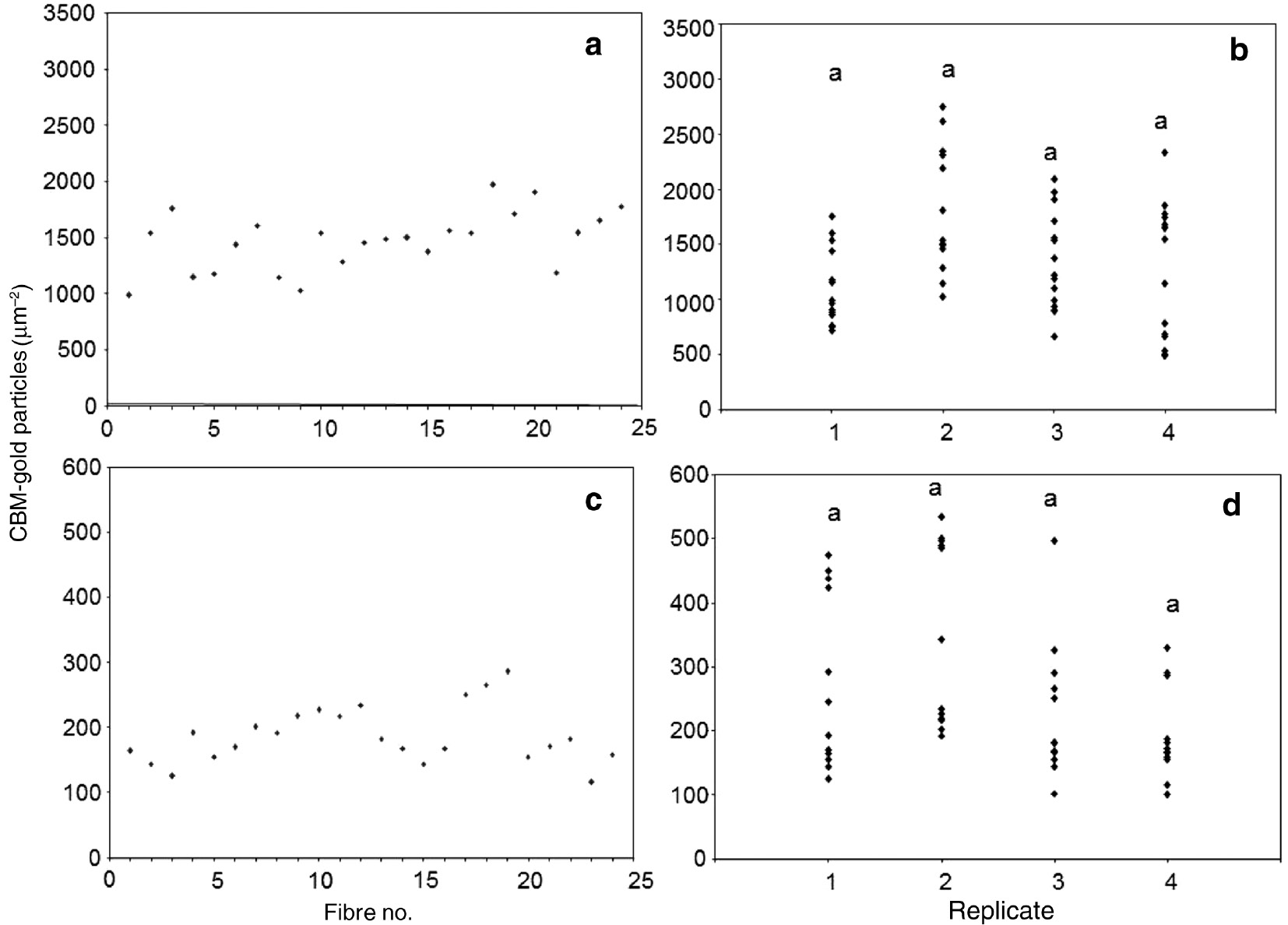 Figure 5: Reproducibility of xylan counts shown for replicate experiments.Labelling of fibres in sections cut from four different resin blocks (six fibres/block) using the same preparation of CBM-gold complex, (a, b) unbleached fibres and (c, d) bleached fibres. The same alphabet shown for each replicate depicts no significant difference.