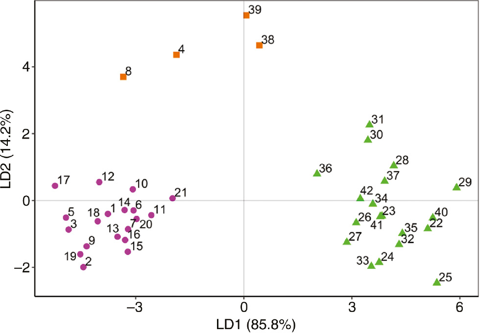 Figure 5: LDA of the three groups of Alnus spp., as indicated by PCA: () population I − A. glutinosa individuals; () population II − A. incana individuals; () population III − miscellaneous group.