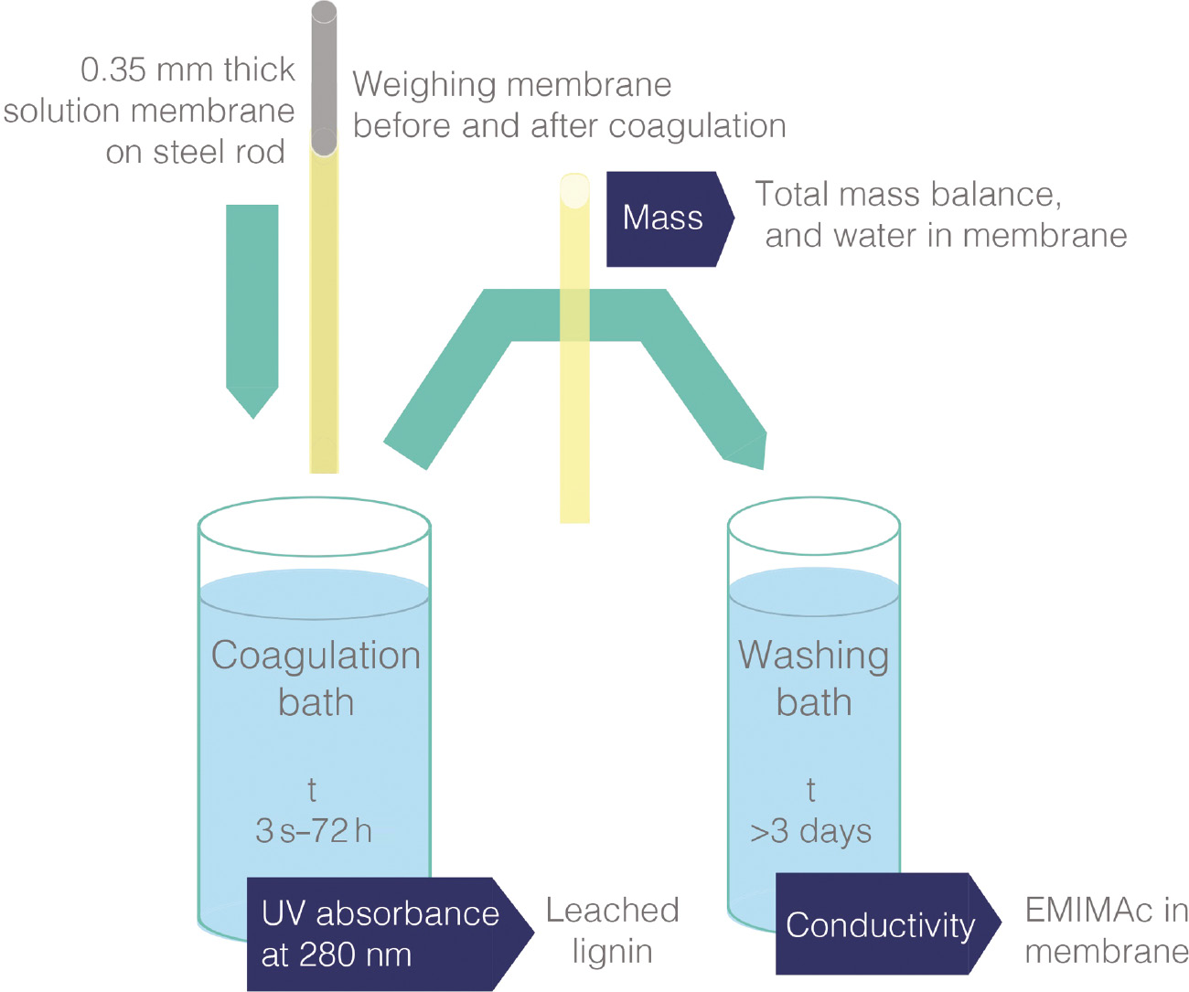 Scheme 1: Illustration of the membrane coagulation method.