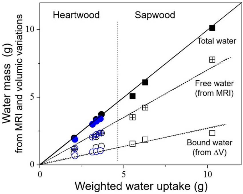Figure 2: Free water mass (from MRI) plus bound water (from swelling measurements ΔV) compared to the total water uptake determined by weighing, at different times during imbibition tests with large samples for heartwood (black or blue circle symbols for two tests) or for sapwood (black square symbols).