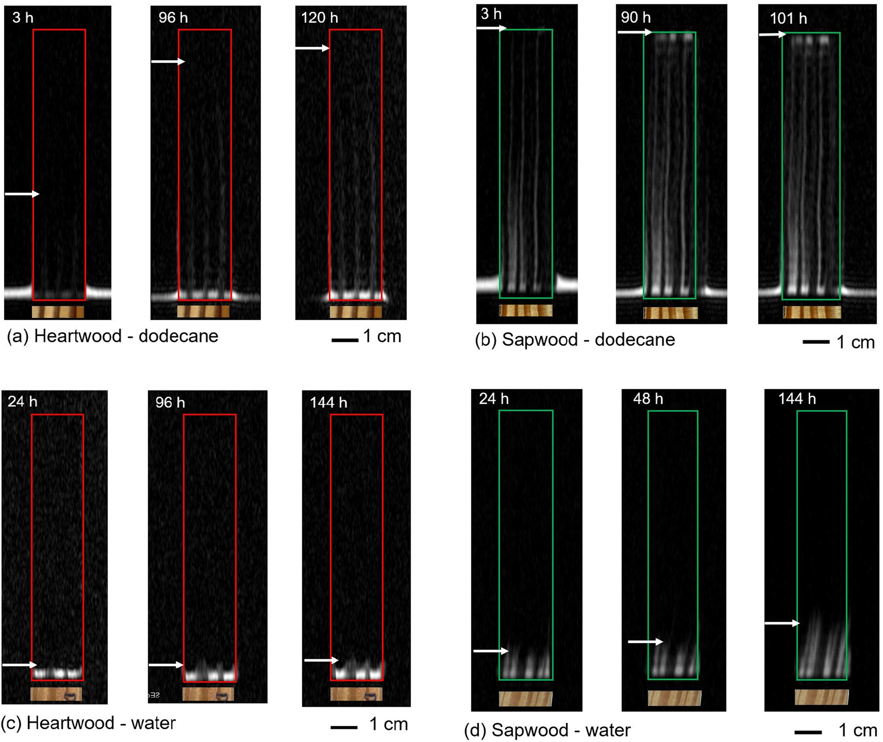 Figure 4: 2D MRI images (longitudinal-radial plane) of dodecane oil and free water distribution in wood samples at different times during imbibition tests for heartwood (a, c) and (b, d) for sapwood. The front of liquid penetration is indicated by a white arrow according to the 1D profiles given in Figure 5. A view of the sample cross section is inserted showing the correspondence between the main liquid paths and the sample structure (latewood and earlywood).