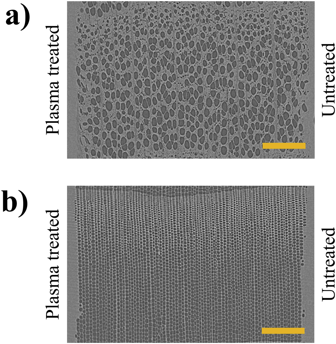Figure 7: Example micro-CT slices in the (R–T) plane, for beech (a) and spruce (b). The scale bar represents 500 µm. The coating is visible on both sides of each slice. Examples of both wood segmentations, including the percentage of non-air voxels, are presented in the supplements, Figure S3 (Žigon et al. 2020).