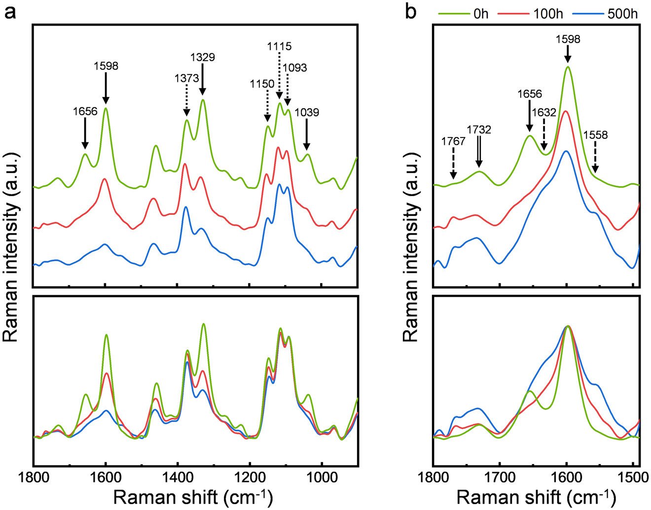 Figure 1: (a) Averaged Raman spectra of the S2 of outermost wood fibers after exposure to simulated weather conditions from the radial direction for specific time periods. (b) The enlarged spectra of the region between 1490 and 1800 cm−1, which was normalized for the intense aromatic band observed at 1598 cm−1. The lower section shows the baseline corrected spectra. The solid arrows represent lignin, dotted arrows represent polysaccharides, double-lined arrows represent hemicellulose, and the dashed arrows are for the new peaks.