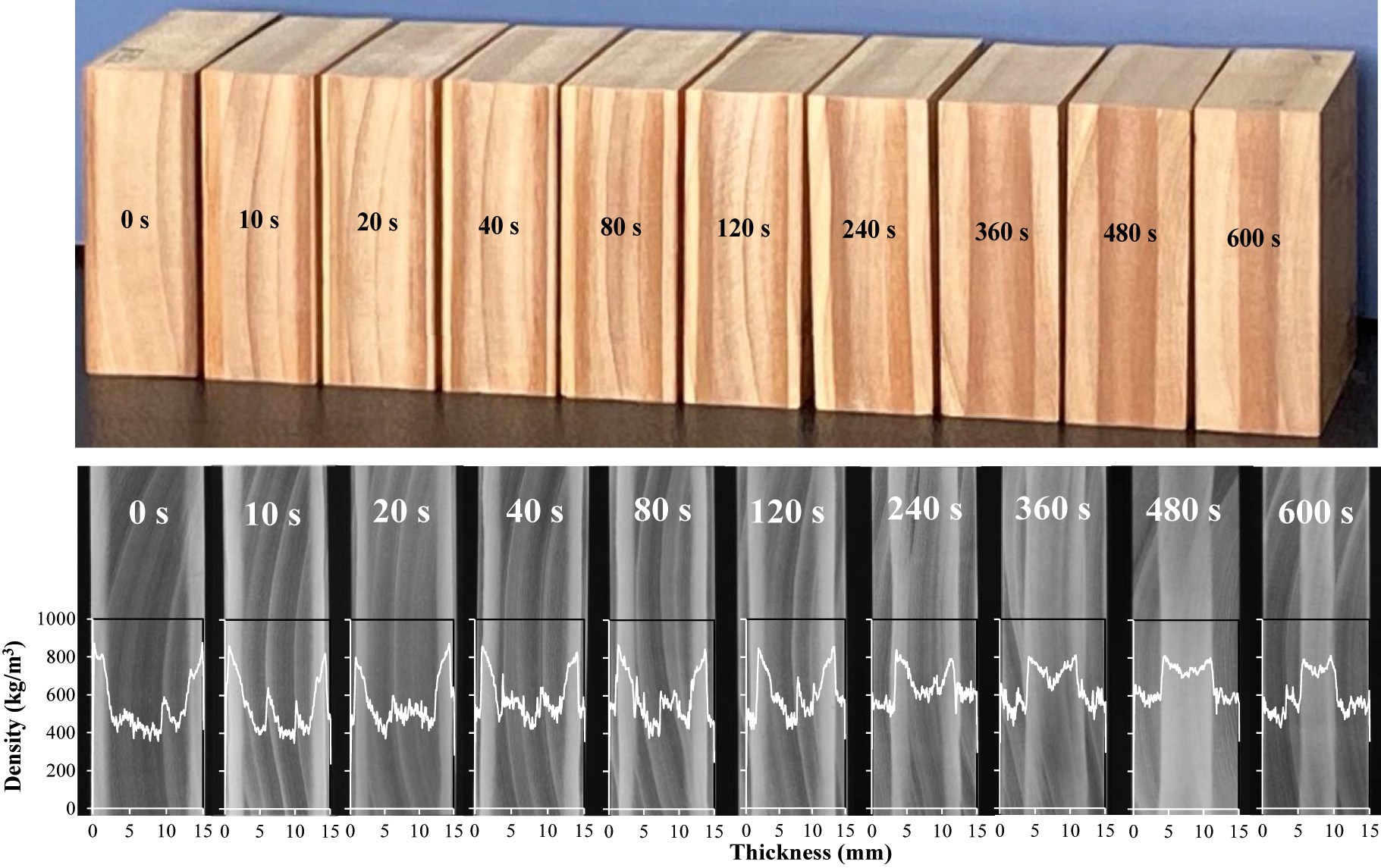 Figure 9:
(Upper) Sandwich compressed wood specimens and (lower) their associated soft X-ray images, and density distribution (white highlighted profiles in the soft X-ray images) in the sandwich compressed wood. In sandwich compressed wood specimens, the darker layers represent the compressed layers, while the brighter layers in the soft X-ray images represent compressed layers.