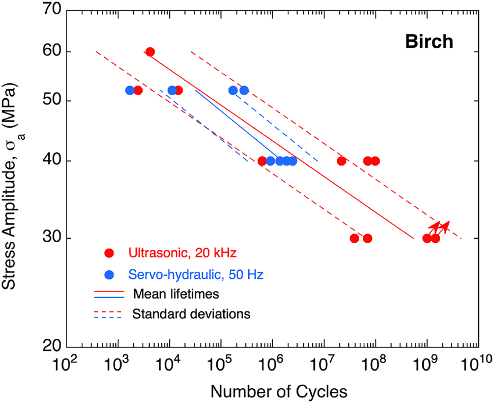 Figure 5: 
Fatigue data of birch obtained by ultrasonic (red dots) and servo-hydraulic (blue dots) fatigue testing, stress amplitudes are plotted double-logarithmically against numbers of cycles to failure, specimens surviving limiting lifetimes of 109 load cycles are marked with an arrow.
