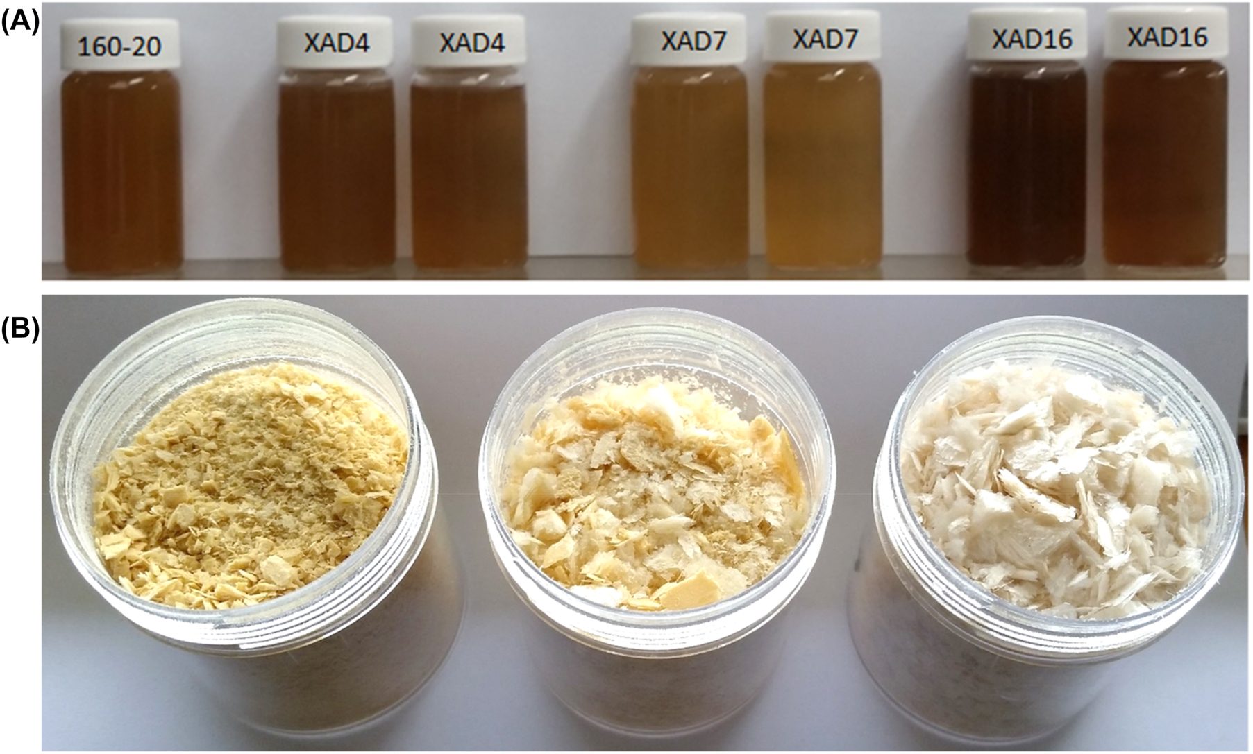 Figure 4: 
Unpurified and purified compression screw pressates (CSPs) before and after drying. (A) Compression screw pressate (CSP) 160/20 before (left) and after treatment (XAD samples). In each pair of XAD samples the sample on the left is from a single treatment and the sample on the right from two successive treatments with fresh resin (1 h; resin-to-liquid ratio 0.08; 24 °C). (B) Freeze-dried CSP samples: 160/20 before XAD7 treatment (left), after XAD7 treatment for 3 h at 24 °C (middle) and the high-MW fraction (retentate 2 of Table 3) isolated by ultrafiltration (right).