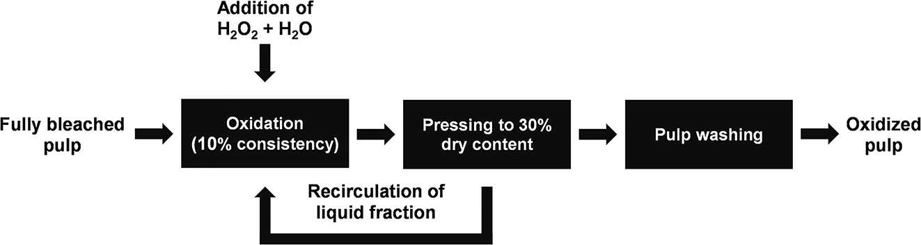 Figure 1: 
Model used for calculation of elevated transition metal ion concentrations. Hydrogen peroxide and water are assumed to be added in order to maintain a constant hydrogen peroxide concentration and consistency.
