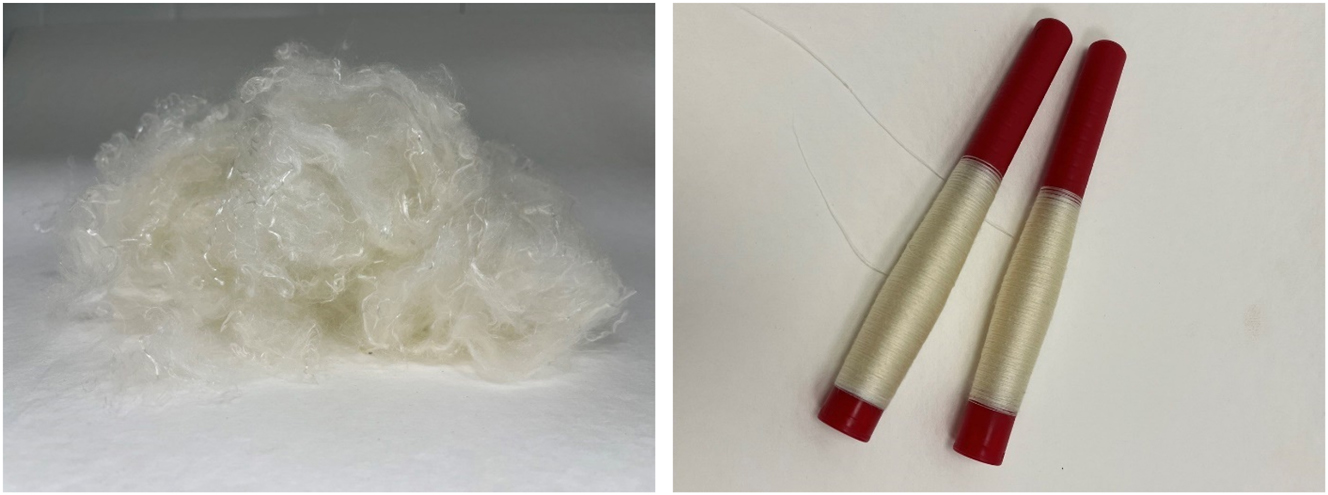 Figure 6: 
Ioncell® fibers (left) and yarns (right) produced from the bleached steam-exploded pulp (SE–E–OO–Z–P).
