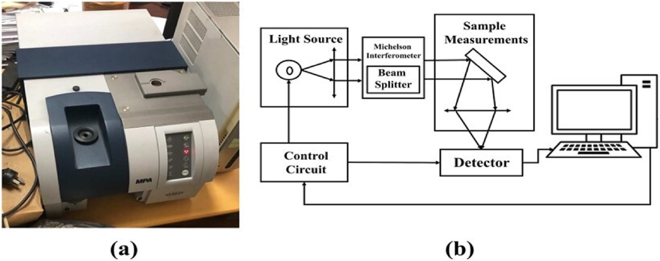 Figure 2: 
NIR instrument: (a) NIR system, and (b) the schematic diagram of NIR system.
