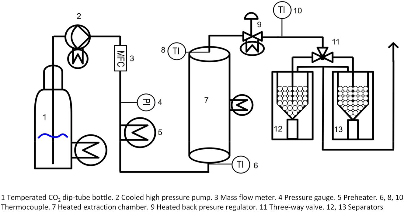 Figure 2: 
Flow scheme of scCO2 extraction plant (simplified).
