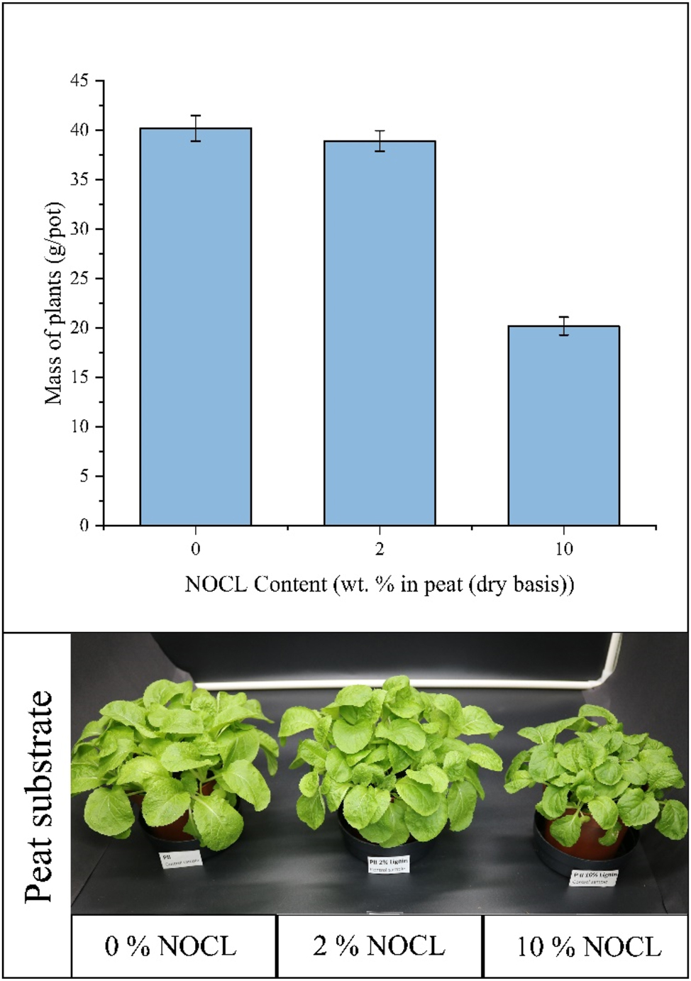 Figure 7:
Results of the negative control test for NOCL (ammoxidated Organocell lignin) – Chinese cabbage plants after 4 weeks cultivated in peat with NOCL.