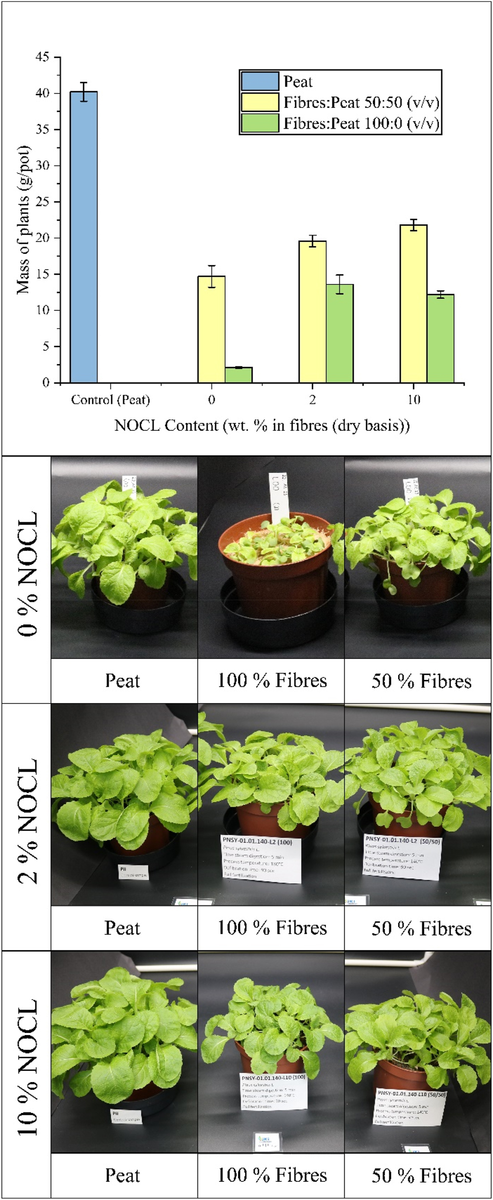 Figure 8:
Results of the plant growth of Chinese cabbage test for mixes of wood fibres and peat with 0 %, 2 % and 10 % of NOCL (ammoxidated Organocell lignin).