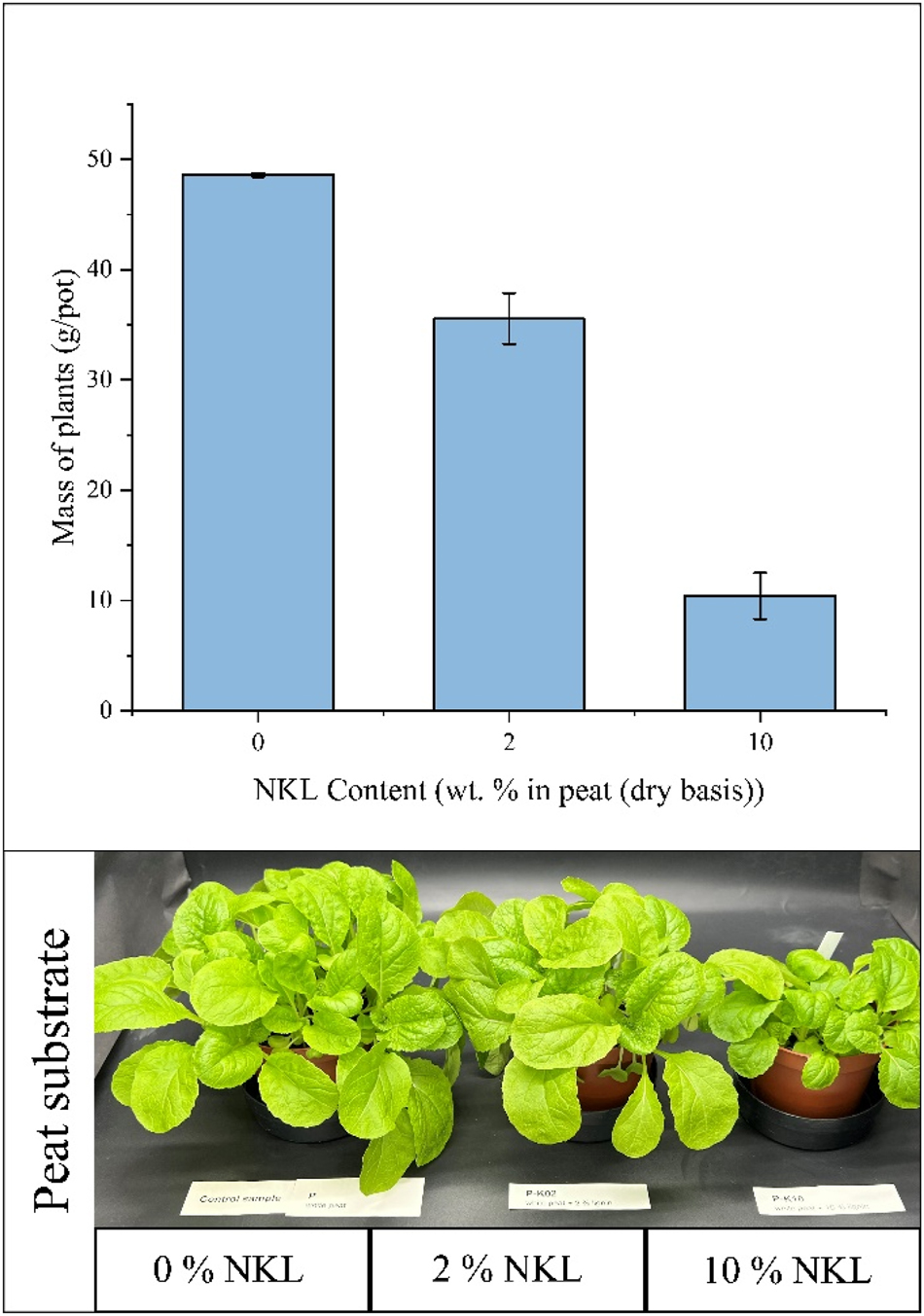 Figure 9:
Results of the negative control test for NKL (ammoxidated kraft lignin) – Chinese cabbage plants after 4 weeks cultivated in peat with NKL.