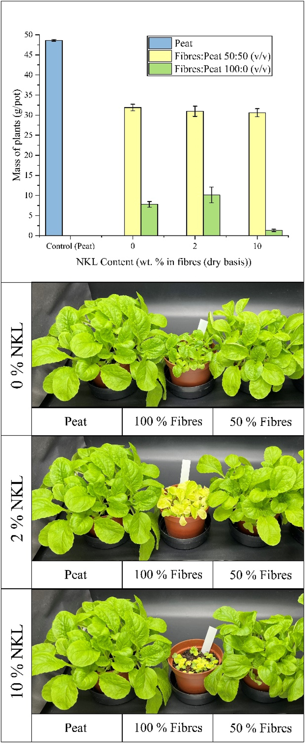 Figure 10:
Results of the plant growth of Chinese cabbage test for mixes of wood fibres and peat with 0 %, 2 % and 10 % of NKL (ammoxidated kraft lignin).