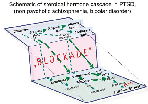 Figure 2: Schematic depiction if steroidal hormone cascade in severe mental disease like PTSD, SI and Bipolar disease.Hormones at the upper of the steroidal hormone cascade, are increased, whereas those at the end are decreased.