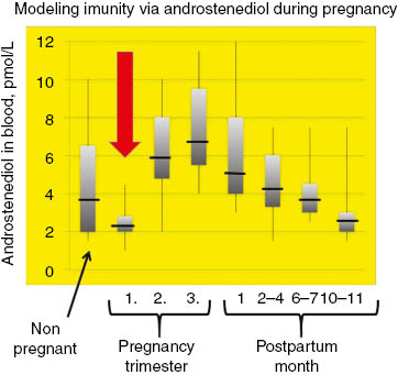 Figure 11: Modulation of adiol (androstenediol) plasma during pregnancy as a means and marker to modulate immunity of the pregnant women [94].